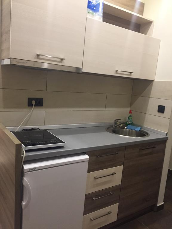 Panorama Apartments In Milmari Resort Копаоник Экстерьер фото